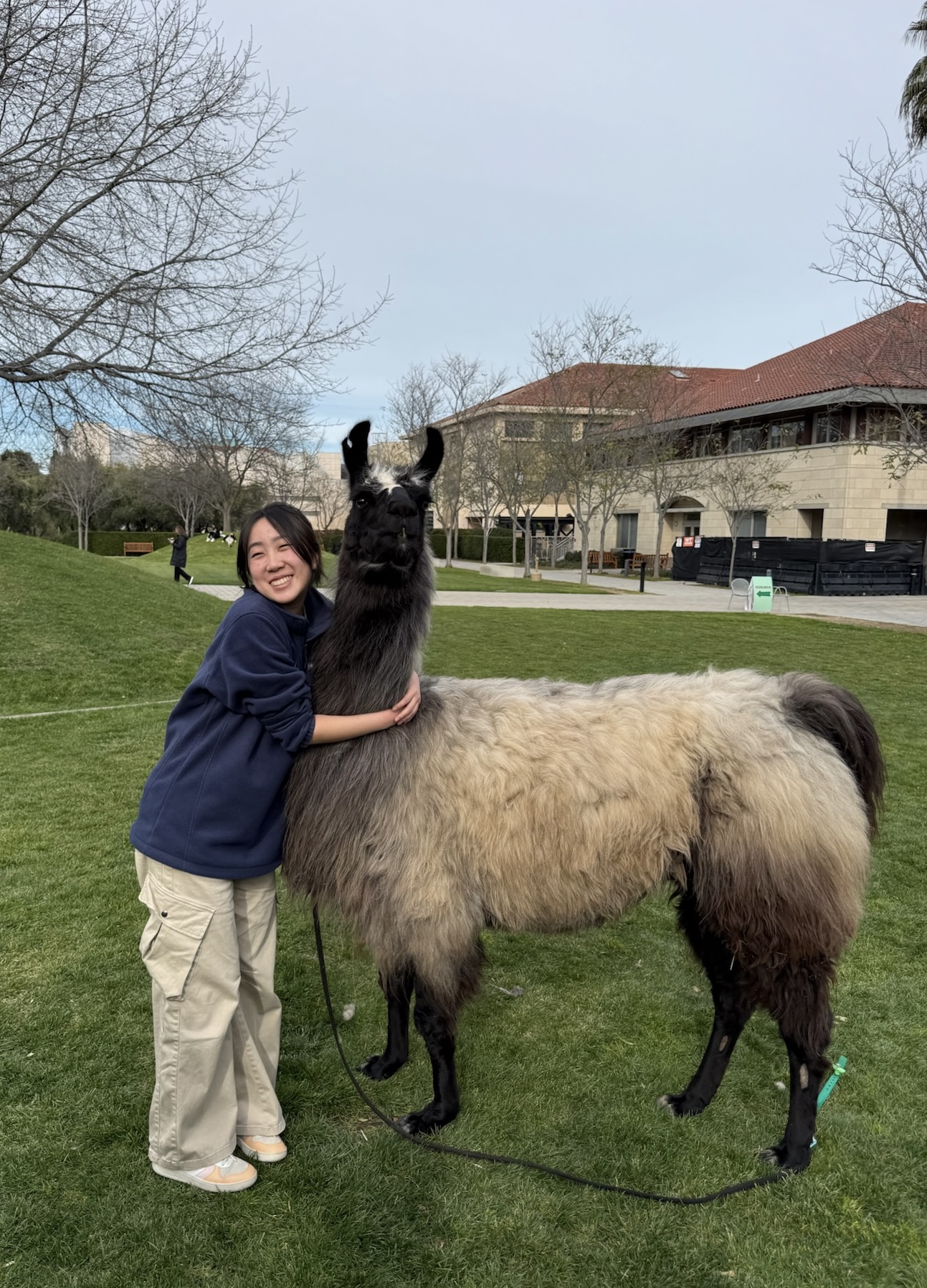 Cheryl with llama at TreeHacks 2025